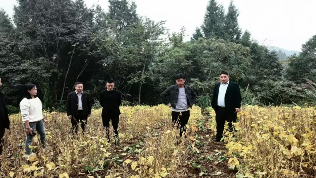 微信图片_20241115150319.png